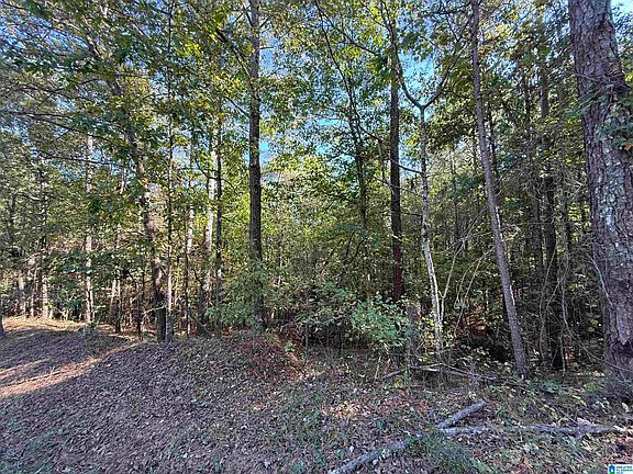 2nd image of 803 Hunters Crossing Rd #6