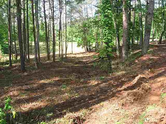 3rd image of LOT 1/1A Palmetto Pointe Dr