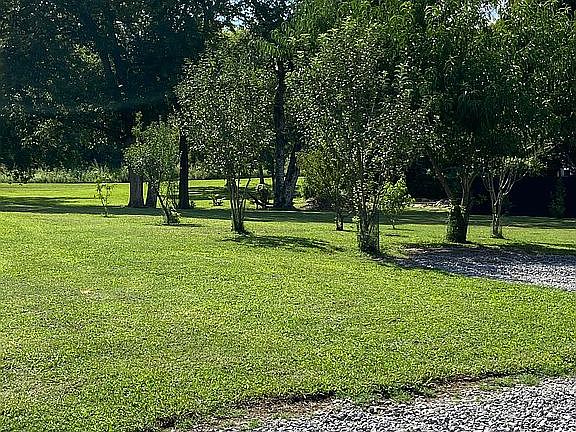 front yard fruit trees