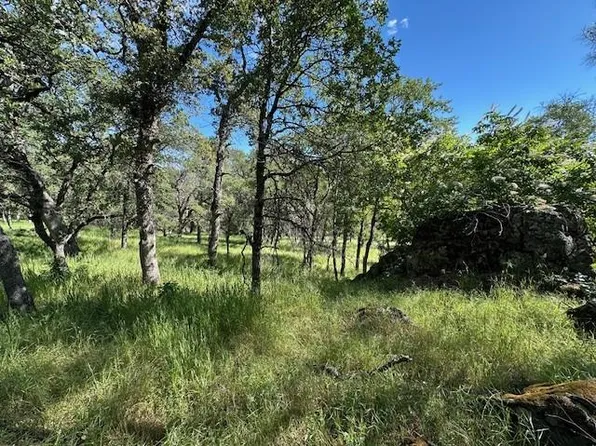 Redhill Way, Browns Valley, CA 95918