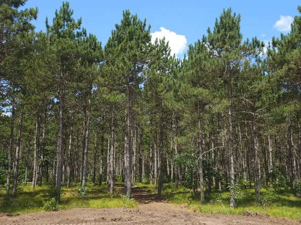 5 Hidden Trl, Nekoosa, WI 54457