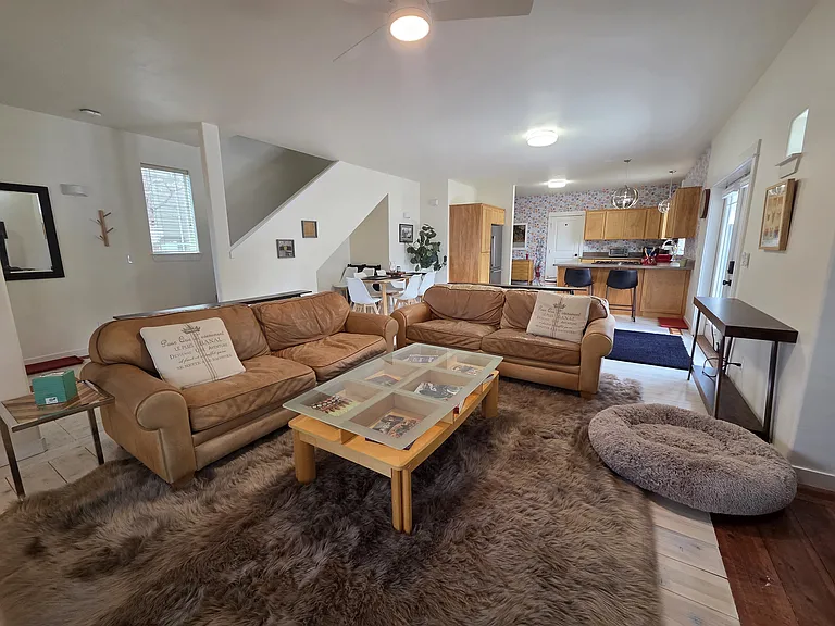Living room with two leather sofas.