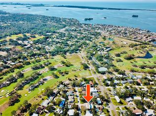1136 Burke Ave, Dunedin, FL 34698