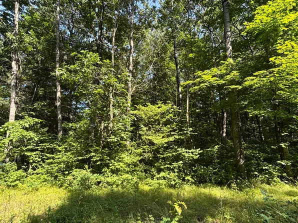 3628 Indian Trail Dr, Hersey, MI 49639