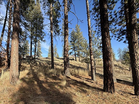 3rd image of N Adams St