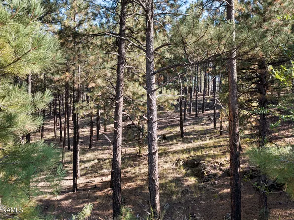 6040 W Saskan Ranch Cir, Flagstaff, AZ 86001