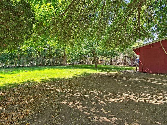 Shaded backyard