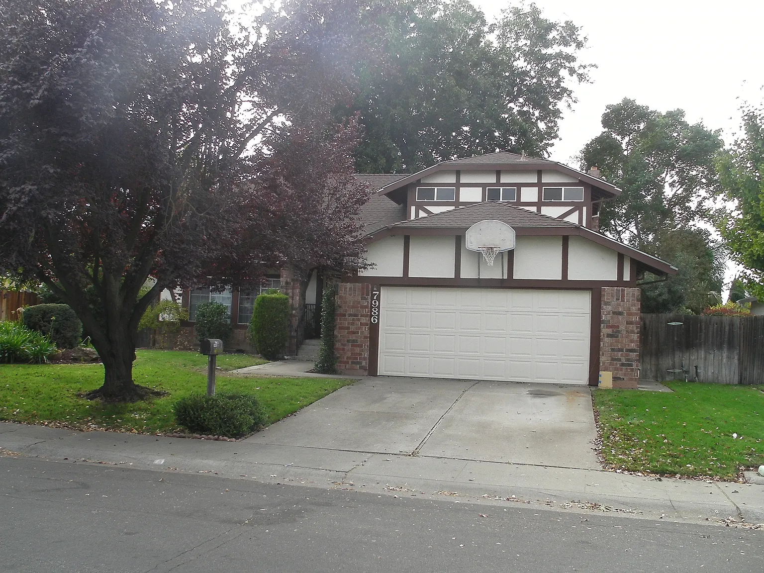 7986 Orenza Way photo 1