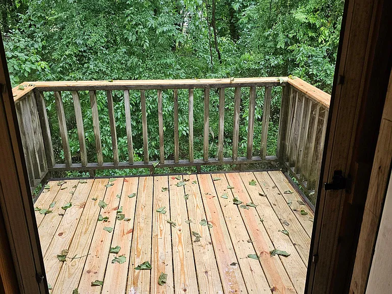 205 Maple St — Photo 12