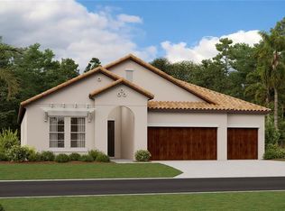 12310 Violet Jasper Dr, Parrish, FL 34219