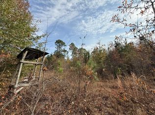 3391 Davis Bridge Rd, Williston, SC 29853