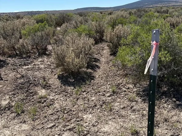 BOWENS[27S15E00- Th Off, Silver Lake, OR 97638