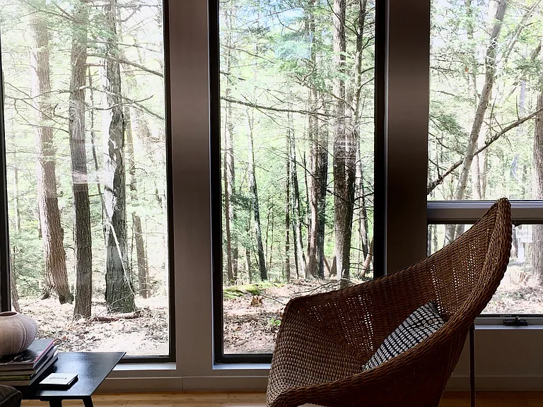 Windows onto the woods