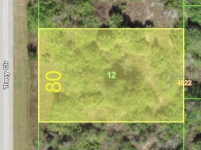 8131 Tracy Cir, Port Charlotte, FL, 33981