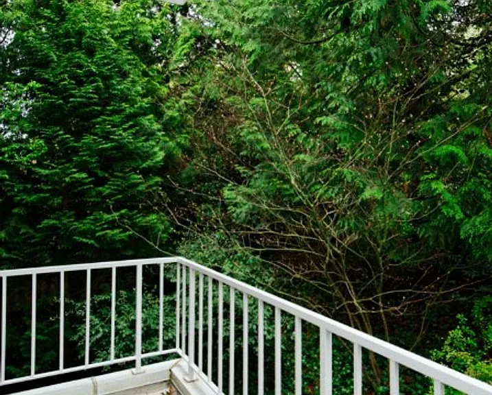 600 Bellevue Way SE #J201 — Photo 19