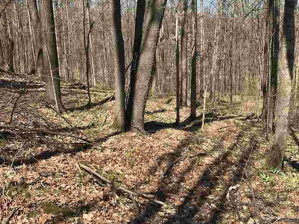 2nd image of 5044 Valley Rd