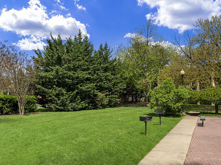 Jefferson Chase — Photo 17