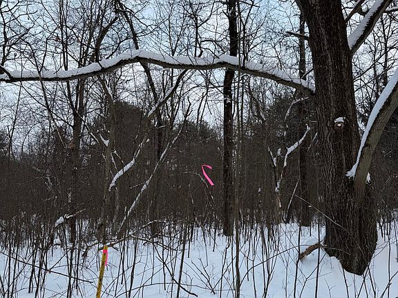 5th image of Route 949