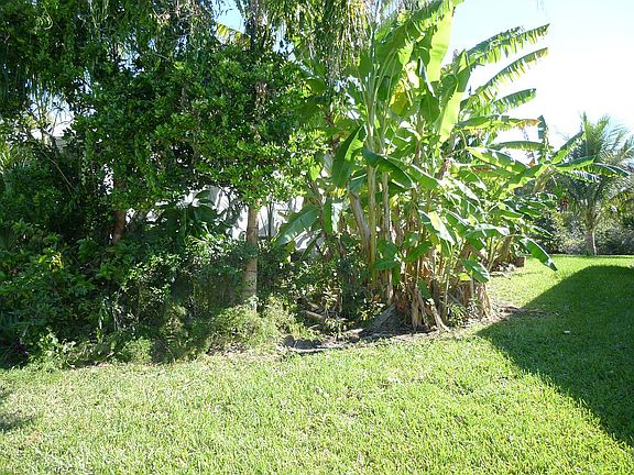 South side banana plantation