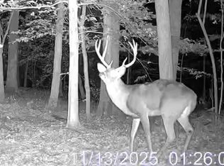 0 Forest Rd, Ava, IL 62907