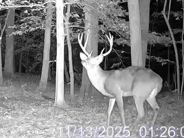 0 Forest Rd, Ava, IL 62907