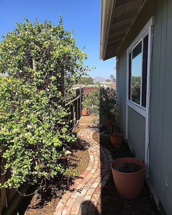 Honeysuckle & lemon-verbena.