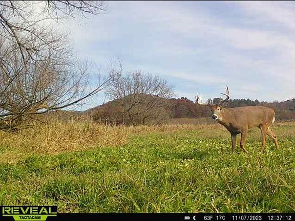 2nd image of 5450AC Shellington Dr