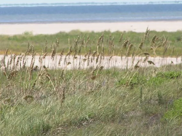 N/a Other 12 South Padre Is, South Padre Island, TX 78597