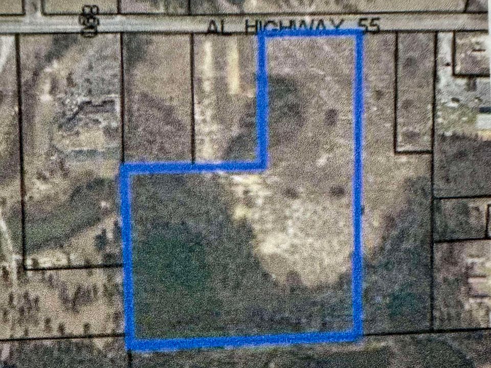 1st image of 0 Highway 55 Byp