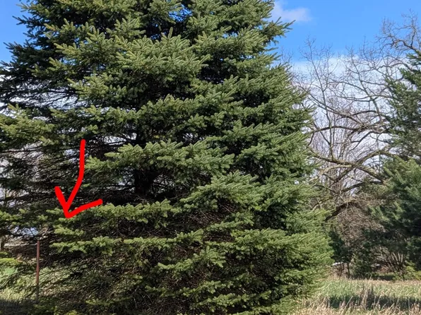 1003 Kent St #475, Weidman, MI 48893