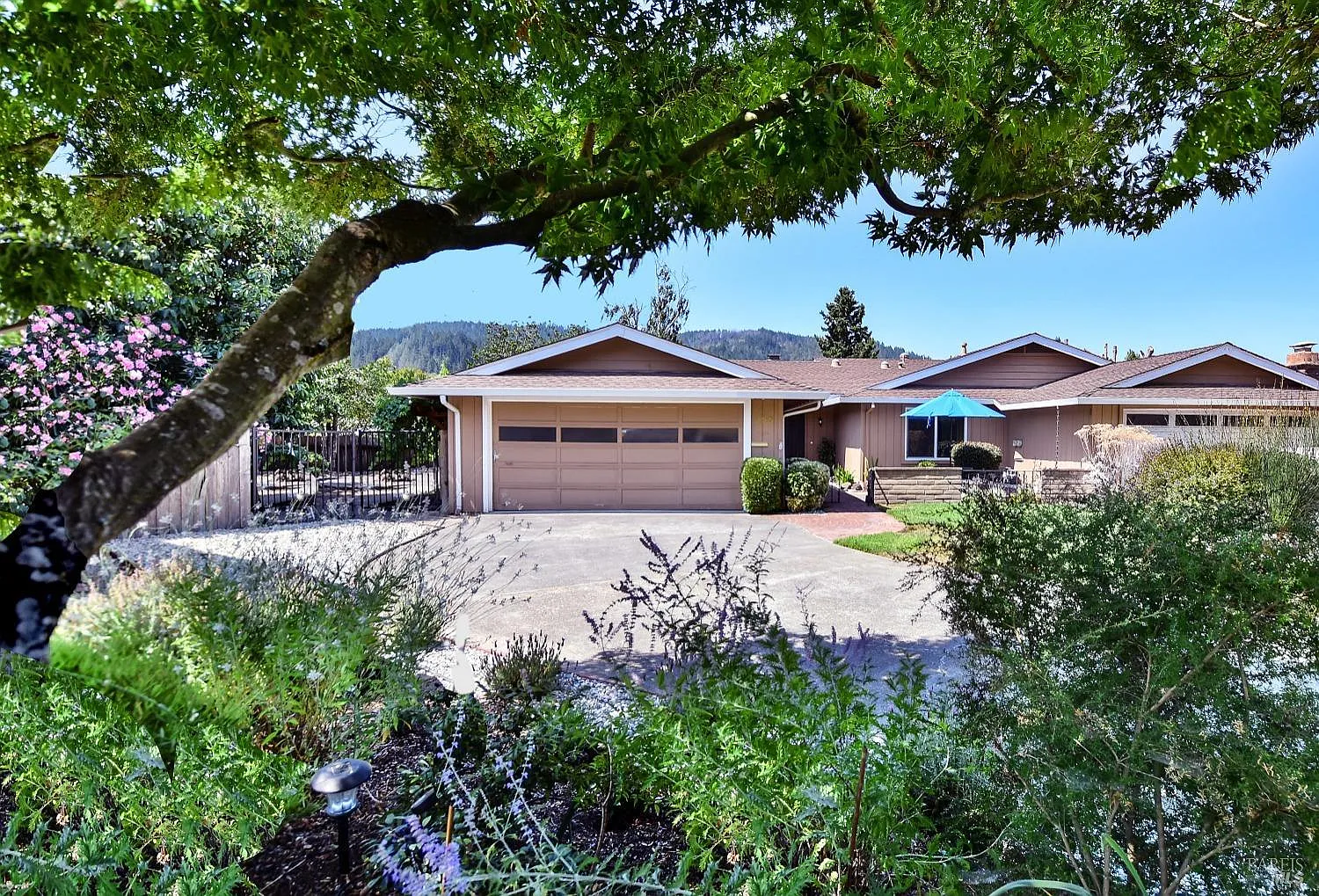 250 Belhaven Court photo 1