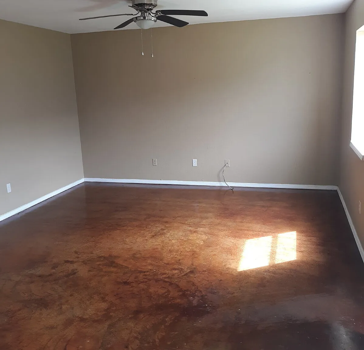 2 bed, 1.0 bath, 710 sqft, $695 — Photo 3