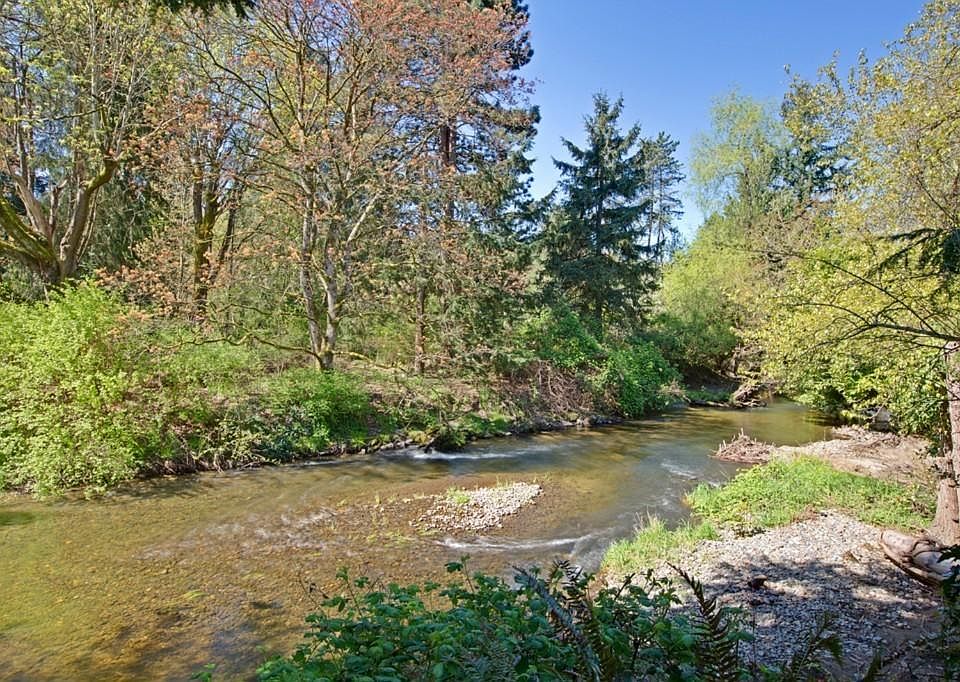 View of creek out backyard