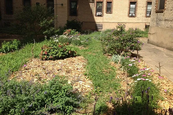 Sold by Corcoran | media 8