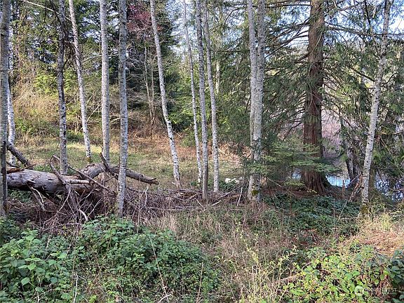 5th image of 363 Teal Lane