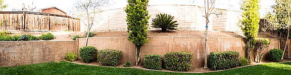 2nd image of 10975 Coralwood Ln