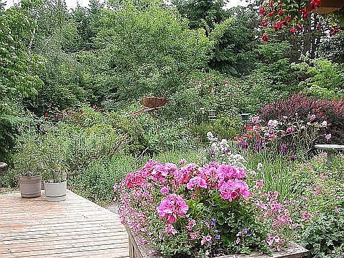off deck in back yard