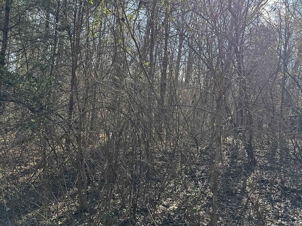 1st image of 0 Mazurek Cir