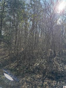 0 Mazurek Cir, Murray, KY, 42071