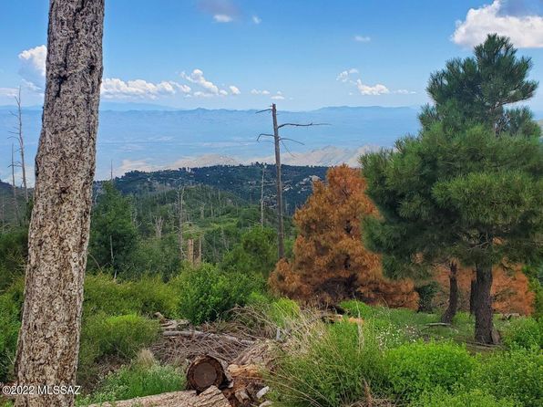 Land For Sale Mt Lemmon Az