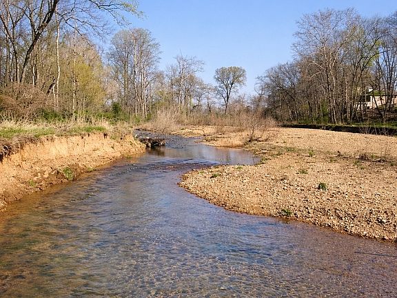 4th image of 620 Piney Rd