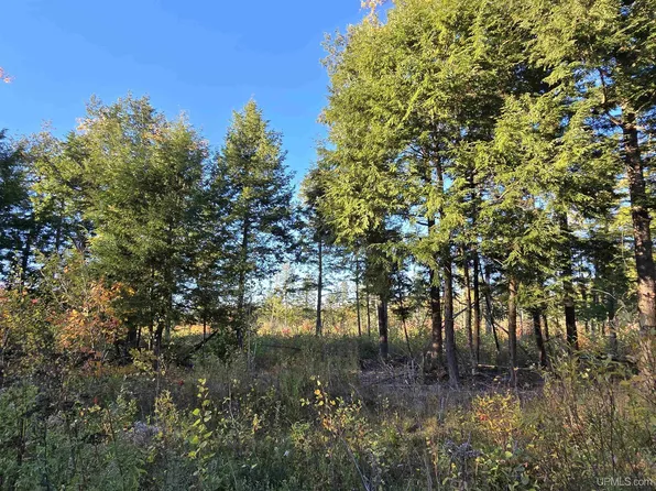 Tbd Beartown Rd, Baraga, MI 49908