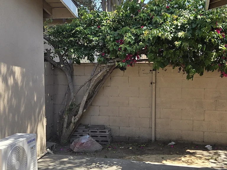 12655 Columbia Way — Photo 4