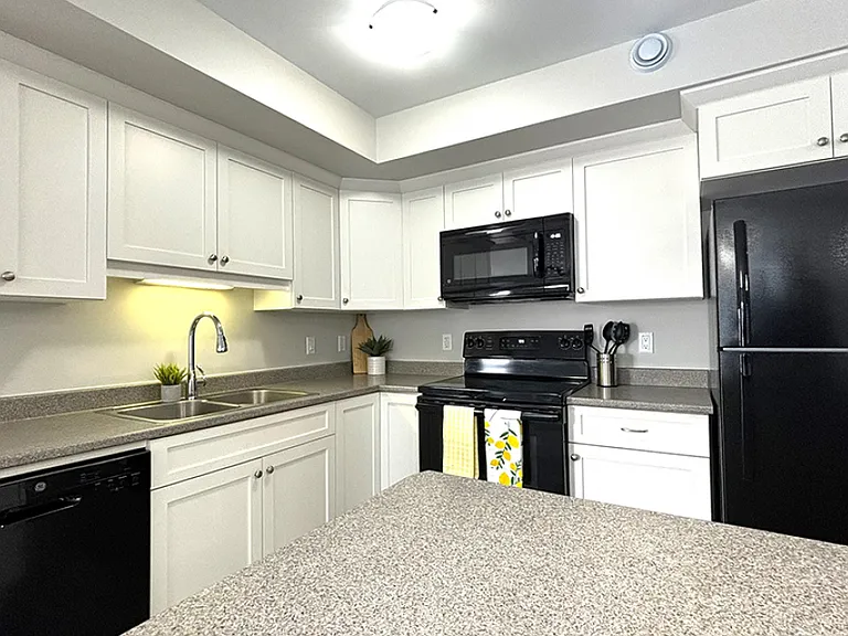 155 Kedgwick Dr — Photo 2