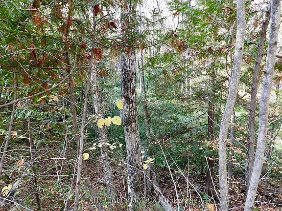 5th image of LOT 1 Woodland Park Dr
