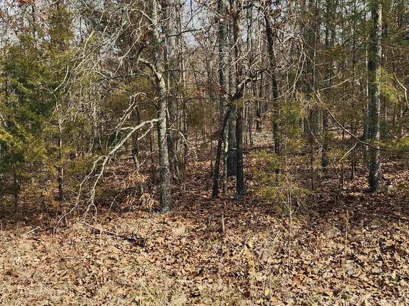 L19-B02 Awi Trce, Cherokee Village, AR 72529