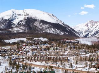 7117 Ryan Gulch Rd #107, Silverthorne, CO 80498