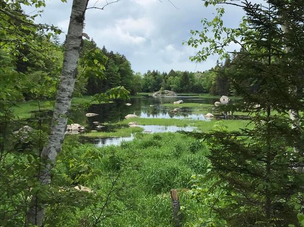 00 Walker Brook Road, Vanceboro, ME 04491
