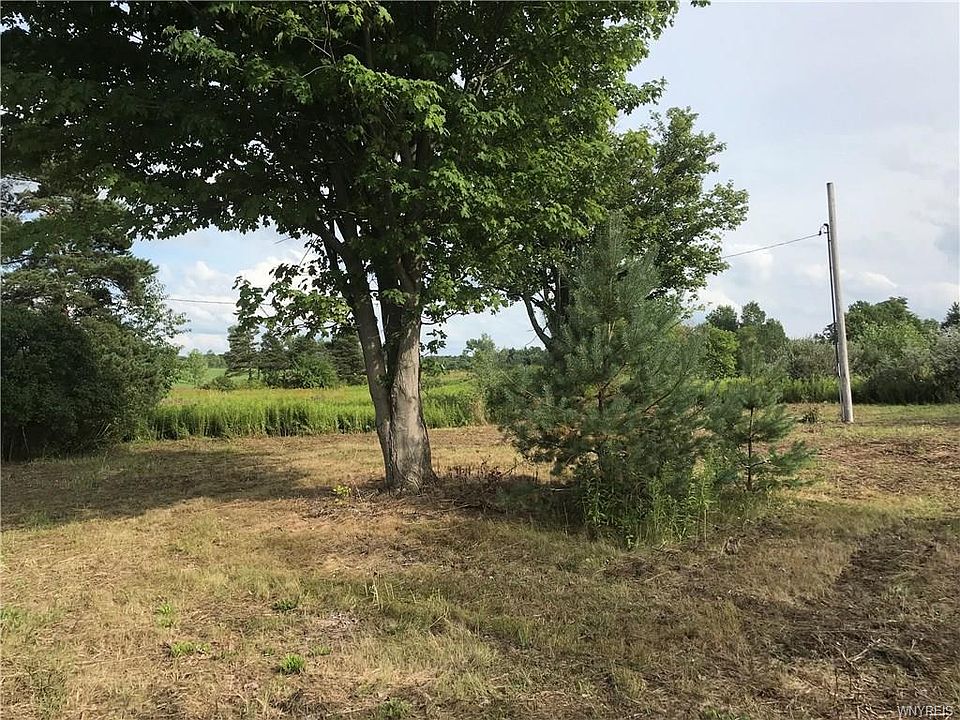 2nd image of 2858 Shirley Rd