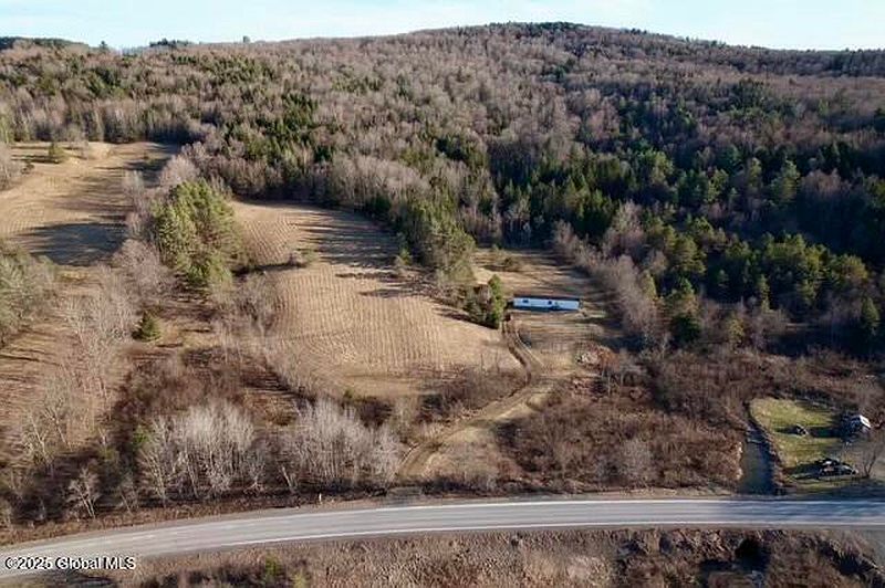 2nd image of 1172 Charlotte Valley Road